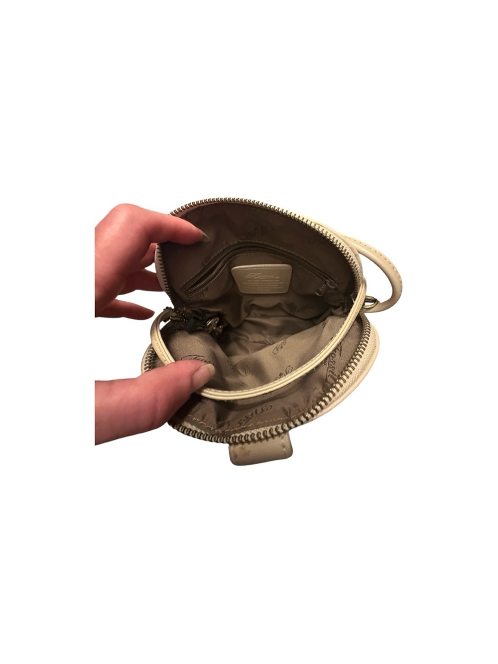 Fossil bundle - Picture 3 of 5